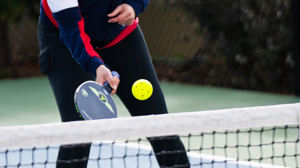 PIckleball Lobs and Other Shots Instructional Videos by Pros